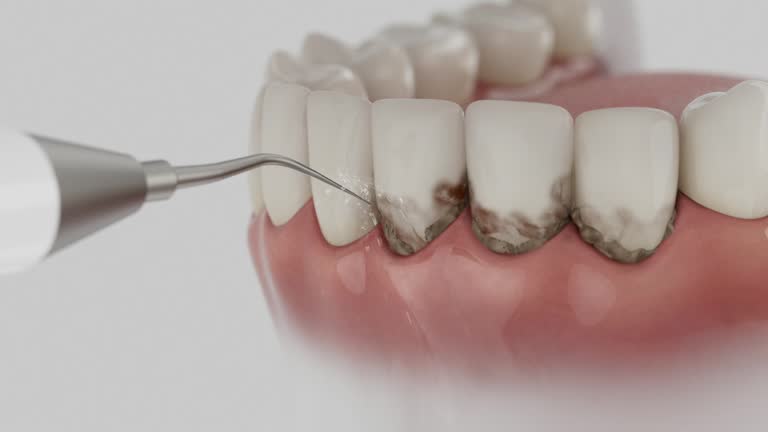 Reliable Dental contractor in Whitemarsh Island, GA by Dentist Open Now
